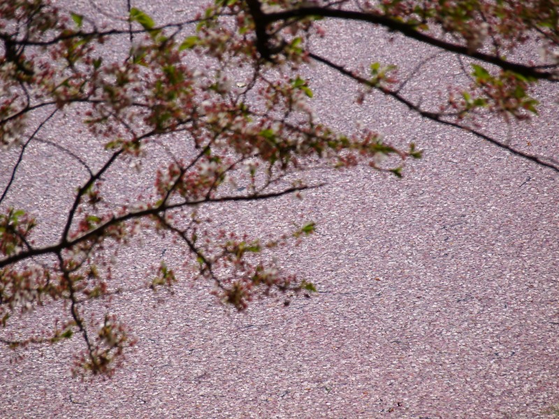 f0224100_23495633.jpg