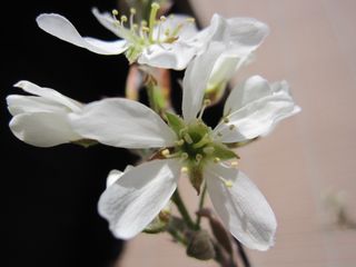 c0152002_8274054.jpg