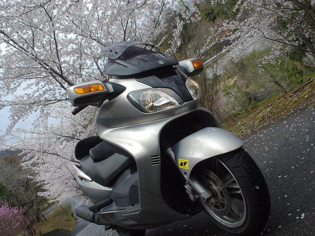 a0116205_18452533.jpg