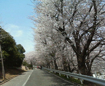 e0123206_9285079.jpg