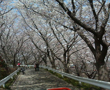 e0123206_9293581.jpg