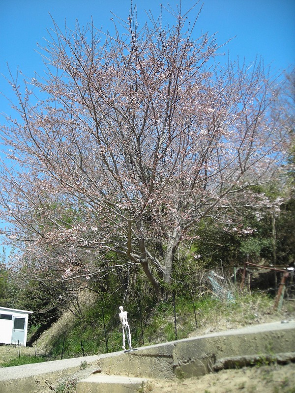 a0142107_1747287.jpg