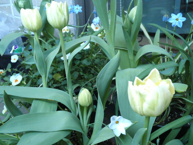 c0211507_15511683.jpg