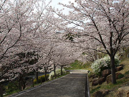 a0041508_14284617.jpg
