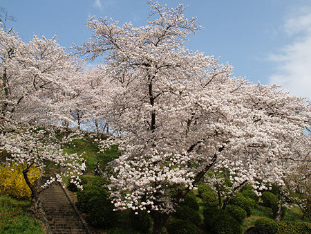 a0041508_14284888.jpg