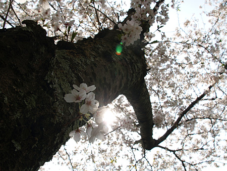 a0041508_14294080.jpg