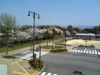 d0005908_2245688.jpg