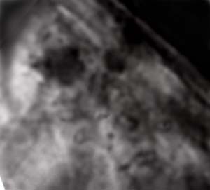 e0103408_1617514.jpg