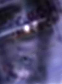 e0103408_1630021.jpg