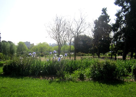 b0064411_2623.jpg