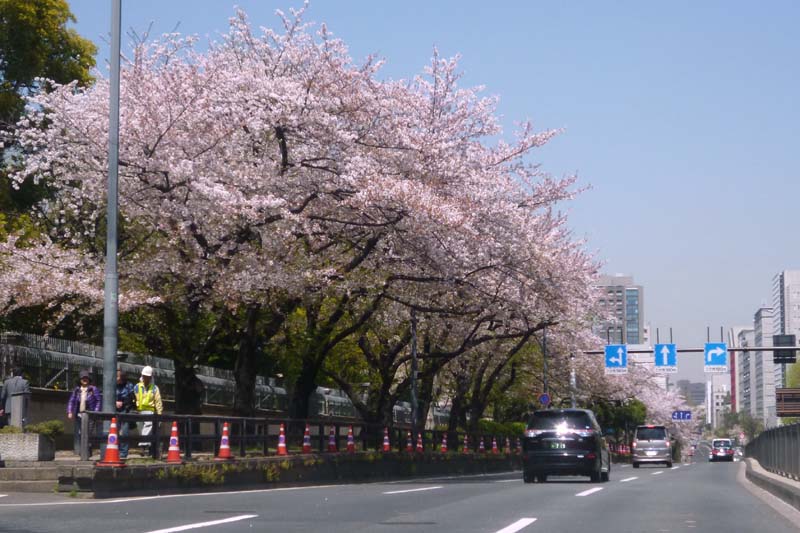 b0074818_21314240.jpg