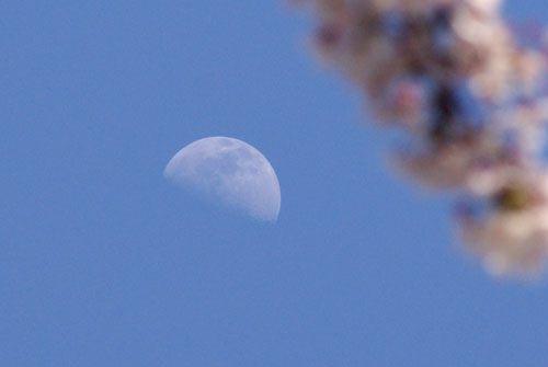 c0184125_1352494.jpg
