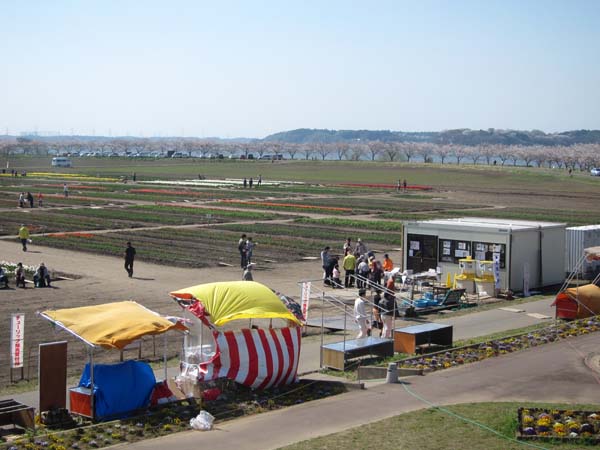f0147025_21443444.jpg