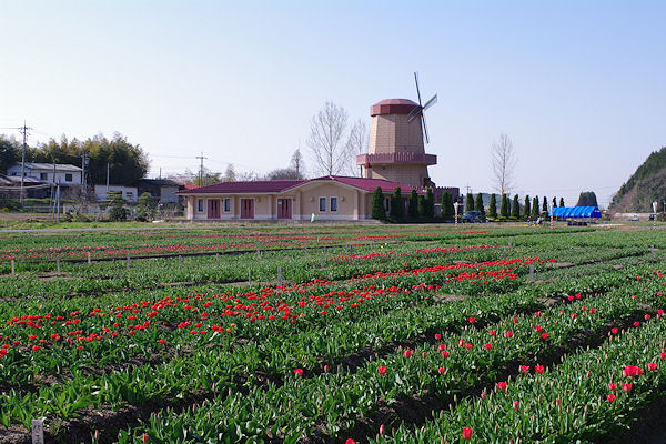 f0007926_9562356.jpg