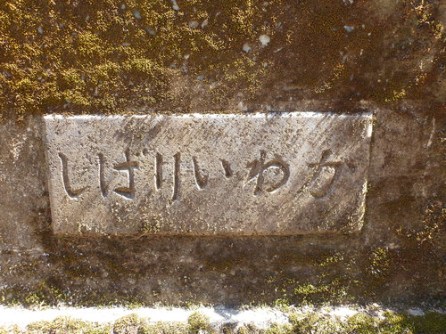 b0195927_173140.jpg