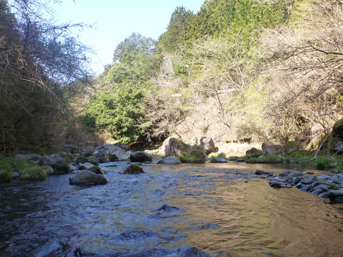 b0195927_1846863.jpg