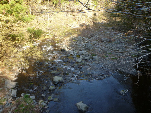 b0195927_1883998.jpg