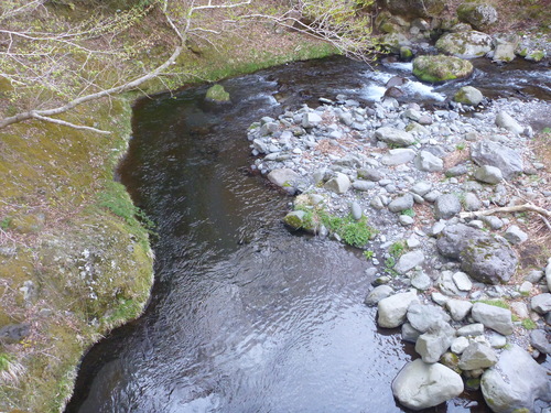 b0195927_1893842.jpg
