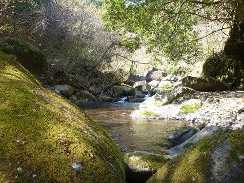 b0195927_20385779.jpg