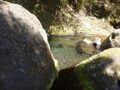 b0195927_20403826.jpg