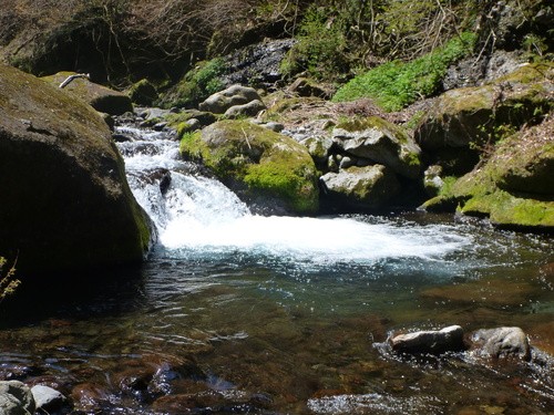 b0195927_2041107.jpg