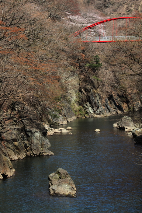 c0215627_2314560.jpg