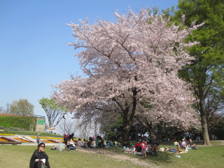 e0152330_22325198.jpg