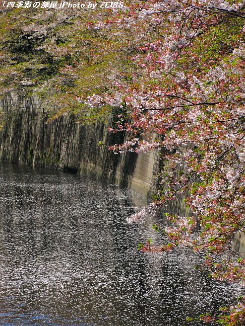 a0195032_2112063.jpg