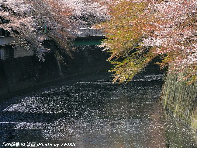a0195032_2113985.jpg