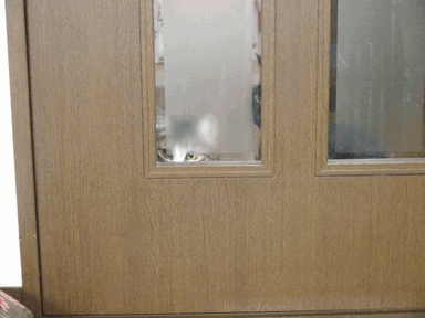 c0136736_12491931.gif