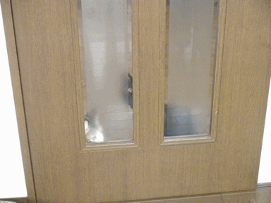 c0136736_1249494.gif