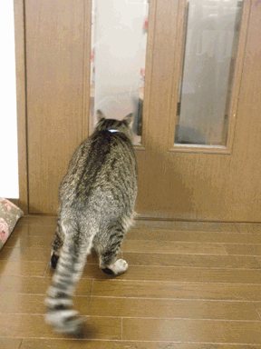 c0136736_1250830.gif