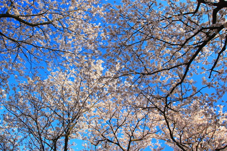 c0122445_1004280.jpg