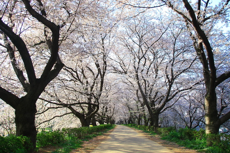 c0122445_100549.jpg