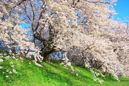 c0122445_1005842.jpg
