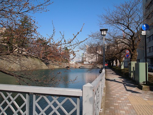 a0063846_1633875.jpg