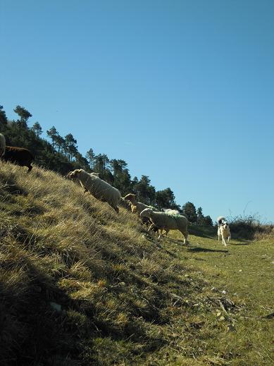 f0194446_050231.jpg