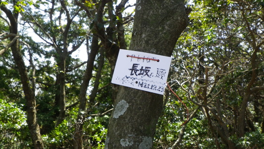 c0042847_1855889.jpg