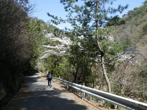 c0042847_1925352.jpg