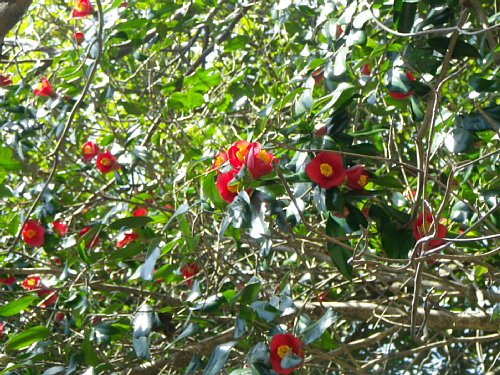 c0042847_1952995.jpg
