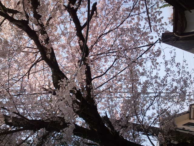 e0034047_2325981.jpg
