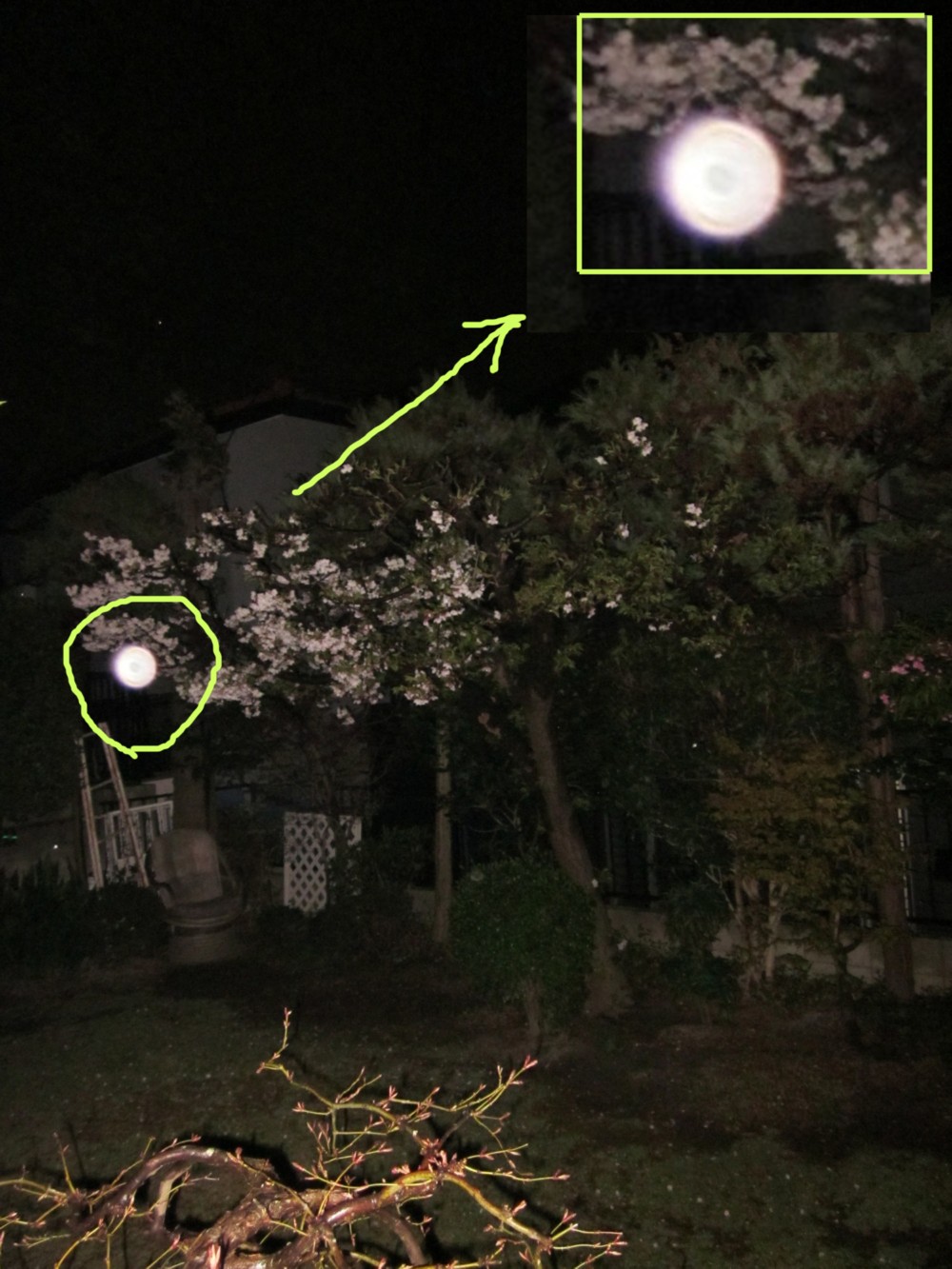 d0075649_834542.jpg