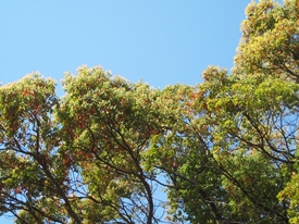 b0193754_20153043.jpg