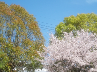 b0193754_20174047.jpg