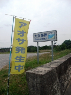 f0205857_15432266.jpg