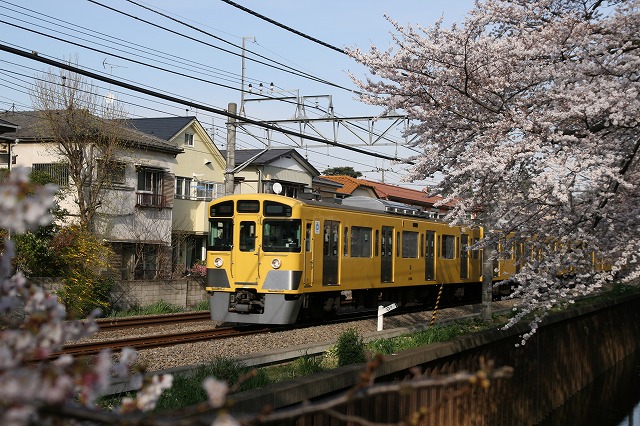 b0002858_0584837.jpg