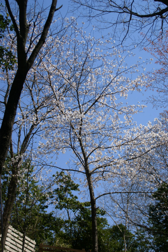 d0083761_19582971.jpg