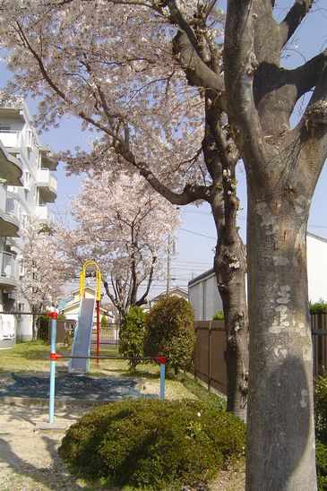 b0155162_1492823.jpg