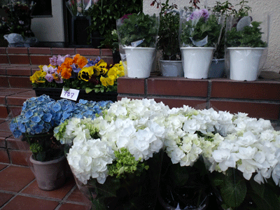 c0050264_18203039.gif