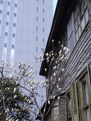 c0050264_18205744.gif